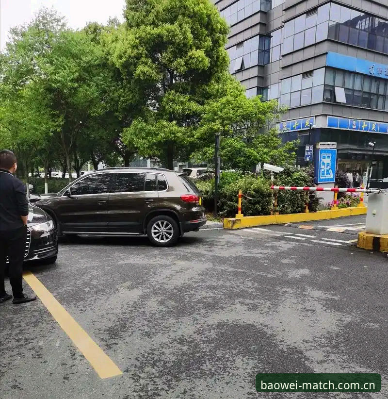 宝威体育平台新手上路实用指南：安全使用与快速上手的必备知识